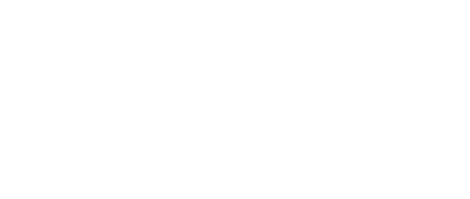 Logo OE X Bocorocco