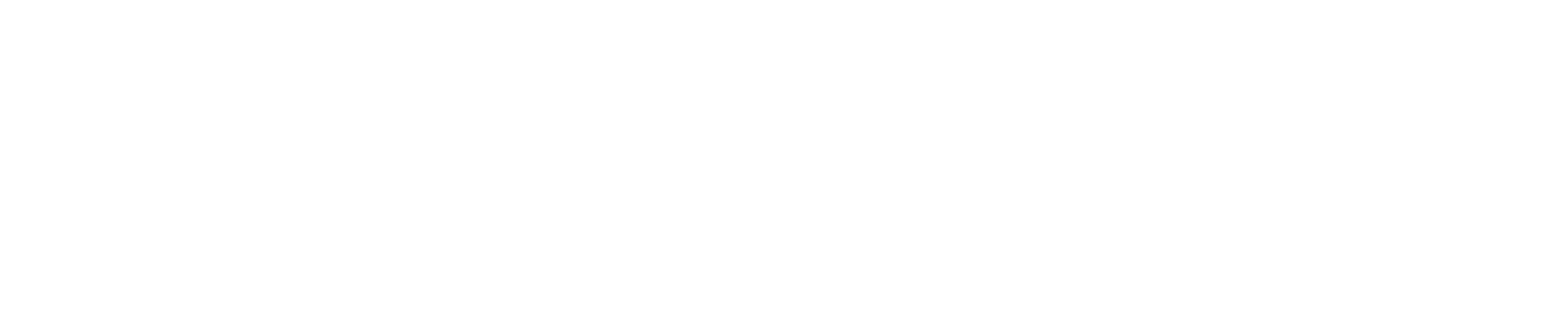 Logo Summer